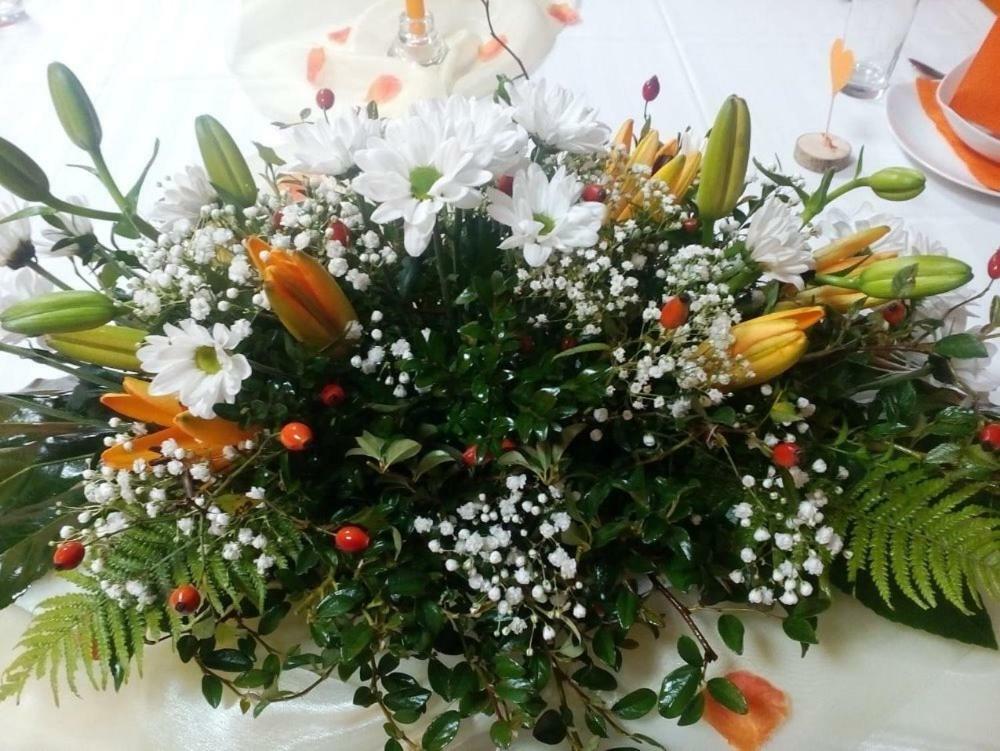 أوسترافيس Hotel Odra المظهر الخارجي الصورة